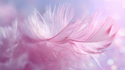Obraz premium Close-up of delicate pink feather with soft light and gentle bokeh background.