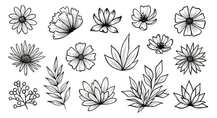 Fototapeta premium Delicate Floral Line Art Collection Hand-Drawn Flowers and Leaves for Creative Designs