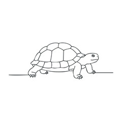 Simple tortoise outline on white background. Outline vector illustration