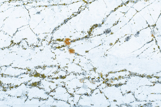 Intricate veined pattern on white marble surface