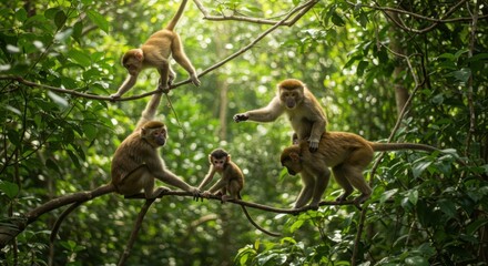 A group of monkeys interacting playfully on tree branches in the lush green forest habitat.