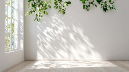 Bright sunlight casting shadows through window onto a clean white wall in a modern minimal room.