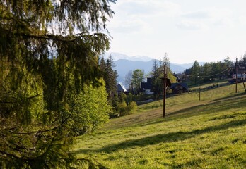 A picturesque landscape with lush greenery, houses nestled in the hillside, and mountains in the distance in Zakopane - Lesser Poland - Poland