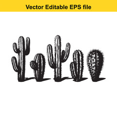 A hand-drawn vector illustration featuring a variety of cactus species, some with delicate flowers, presented as an outline.