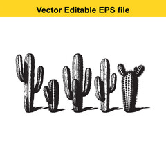 A hand-drawn vector illustration featuring a variety of cactus species, some with delicate flowers, presented as an outline.
