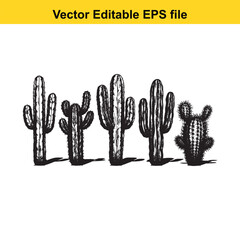 A hand-drawn vector illustration featuring a variety of cactus species, some with delicate flowers, presented as an outline.