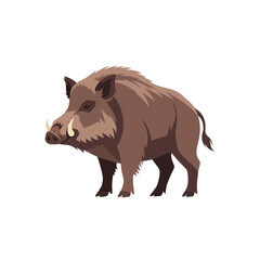 Fototapeta premium Full shot of a wild boar, standing profile view, detailed illustration.