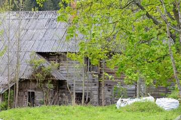 Old wooden rural building, potentially from Zakopane in Poland. The building has a sloping roof, and is surrounded by greenery and trees in Zakopane - Lesser Poland - Poland