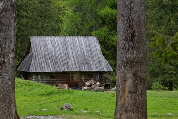  Rustic log cabin in a green meadow, framed by trees. This peaceful landscape image in Zakopane - Lesser Poland - Poland
