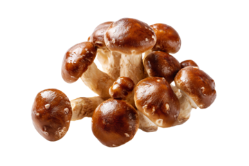 a group of mushrooms on a white surface