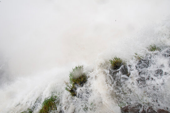 Massive water torrents plummeting through Iguazu Falls, generating misty spray, surrounding verdant foliage gripping rugged cliff surfaces, revealing raw natural majesty