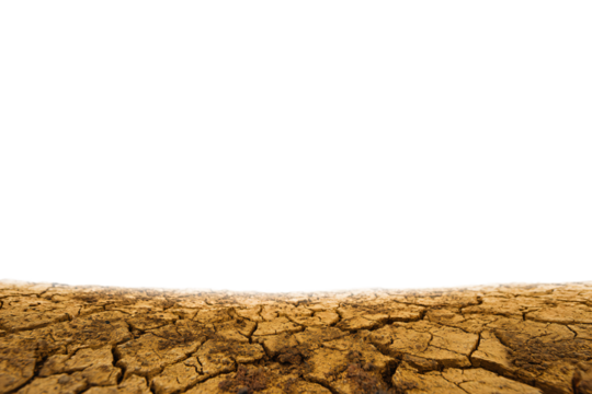 a lone elephant standing in a dry field