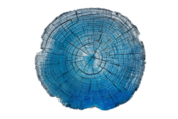 a blue tree stump with a white background