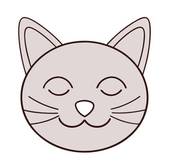 Peaceful cat face