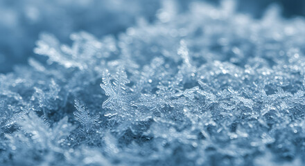 Obraz premium Intricate Frost Patterns 