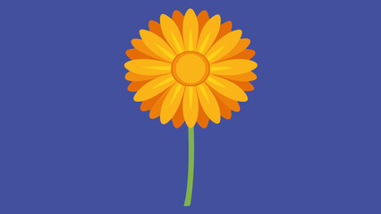 Orange Desert Marigold Flower Vector Clipart Blue Background