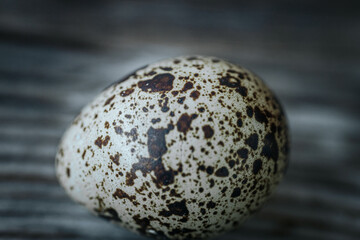 A macro shot capturing the detailed texture and mottled pattern of a quail eggshell, showing the natural pigmentation and fine surface cracks.