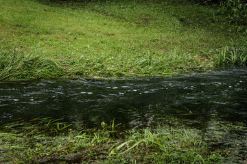 A calm stream flows through a lush, deciduous forest, with ripples and light reflections on the...
