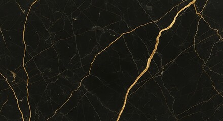 Black marble with golden veins, detailed texture.
