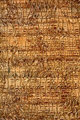 Zbliżenie pnia palmy daktylowej, wzór kory palmy, Egzotyczne tło drewna palmy daktylowej, Palm tree bark pattern texture, tropical tree trunk, exotic date palm wood background 
