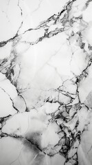 The detailed texture of this marble slab features an intricate pattern of veins, creating a natural and luxurious stone surface