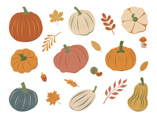Colorful vector set of autumn pumpkins and fall leaves in various shapes. Perfect for Harvest and Thanksgiving decor, Halloween cards, posters and banners. 