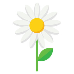 Simple Daisy Flower Illustration with White Petals and Yellow Center