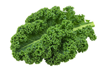 Deep green, vibrant curly kale leaves, distinctly ruffled and textured, showcasing crisp edges and natural sheen, isolated on a pristine plain white background with bright, shadowless studio