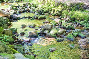 Harrachov- Czech- 26 June 2025: mountain river with waterfall in the forest, summer