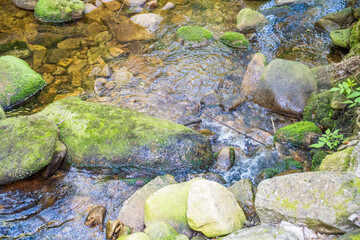 Harrachov- Czech- 26 June 2025: mountain river with waterfall in the forest, summer