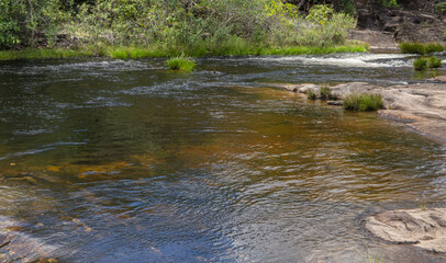 Transparent river surface in natural green background