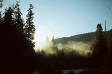 sunset in the forest