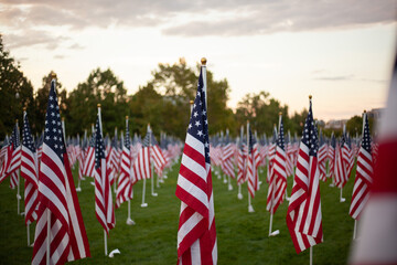 american flags in the city