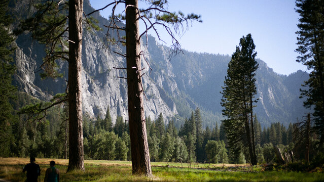 Peaceful mountain valley in Yosemite - Powered by Adobe