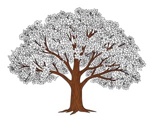 Fototapeta premium Detailed illustration of a flowering tree