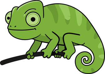 Fototapeta premium reptile