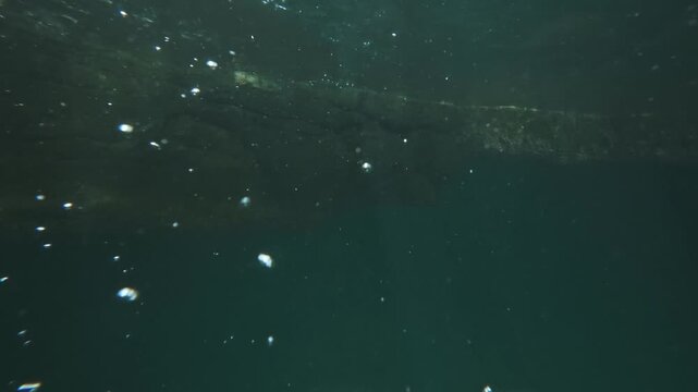 Huge air bubbles rising in turquoise water. Beautiful underwater scenery, low visibility in a pond or aquarium. Bubbles floating in green water. Abstract minimalistic natural background.