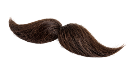Brown Mustache:  A Detailed Close-up of a Realistic Hairy Mustache PNG, Transparent Background.