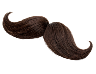 Vintage Mustache: Detailed Brown Facial Hair Illustration PNG, Transparent Background.