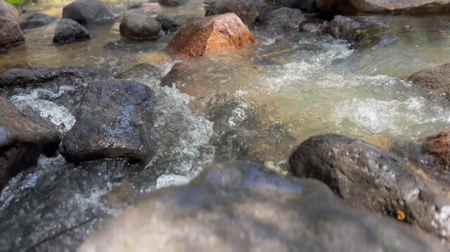 A Creek Flowing Over Rocks in the Forest