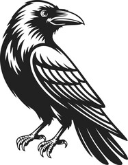 Obraz premium Raven, black bird perched on a branch, symbol of mystery and wisdom, classic engraved style, embellishment for designs and prints