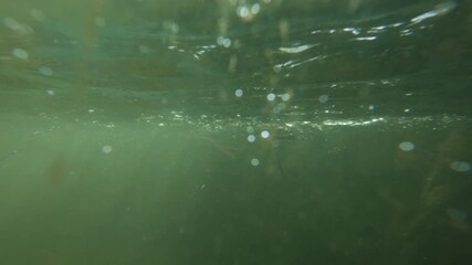 Sun glittering around on an out of focus dirty aquarium glass panel. Cleaning required. In the background many little bubbles floating in the opaque water. Abstract green slow motion footage. - Powered by Adobe