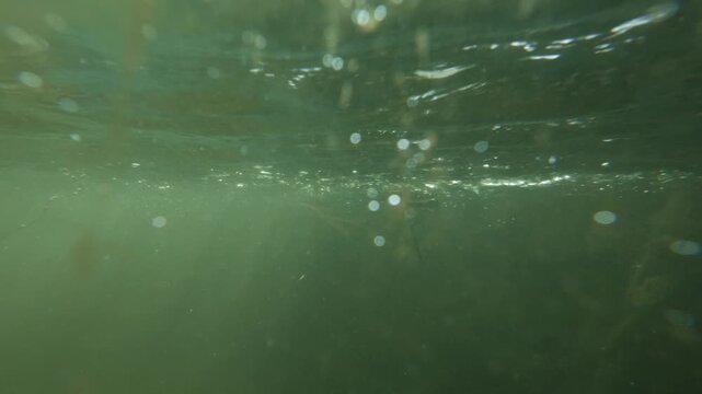 Sun glittering around on an out of focus dirty aquarium glass panel. Cleaning required. In the background many little bubbles floating in the opaque water. Abstract green slow motion footage.
