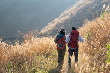 A couple is hiking along a forest trail on a beautiful day, enjoying nature and their outdoor adventure perfect for themes of travel, hiking, and togetherness.