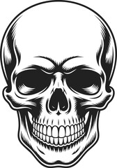 Fototapeta premium Skull, human skull illustration, detailed anatomical skull, bone structure, skull design, gothic skull art, vintage engraving