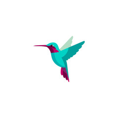 Hummingbird icon logo flat vector design