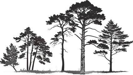 Silhouette illustration of a group of pine trees with detailed branches and foliage on a white background