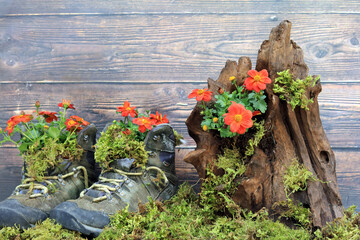 flowers in a wooden box