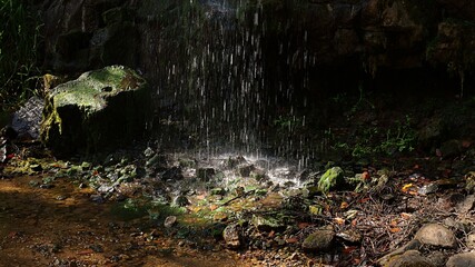 A nicely illuminated small rock waterfall in the  countryside Co. Kilkenny Ireland