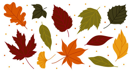 Set of different leaves of maple, oak and other trees. Autumn leaves. Autumn decoration in flat style. Yellow, red, orange fall leaf for pattern, banner, sticker. Hello autumn